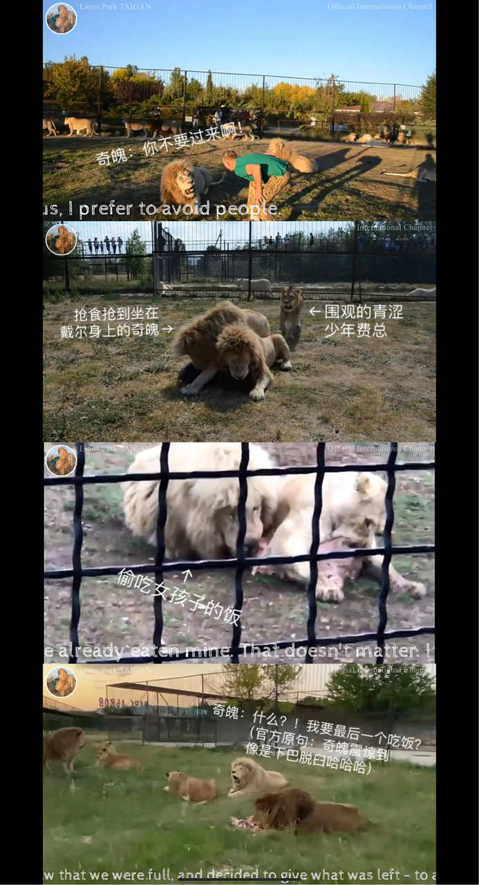 上传时间:2020-07-20 06:39:23