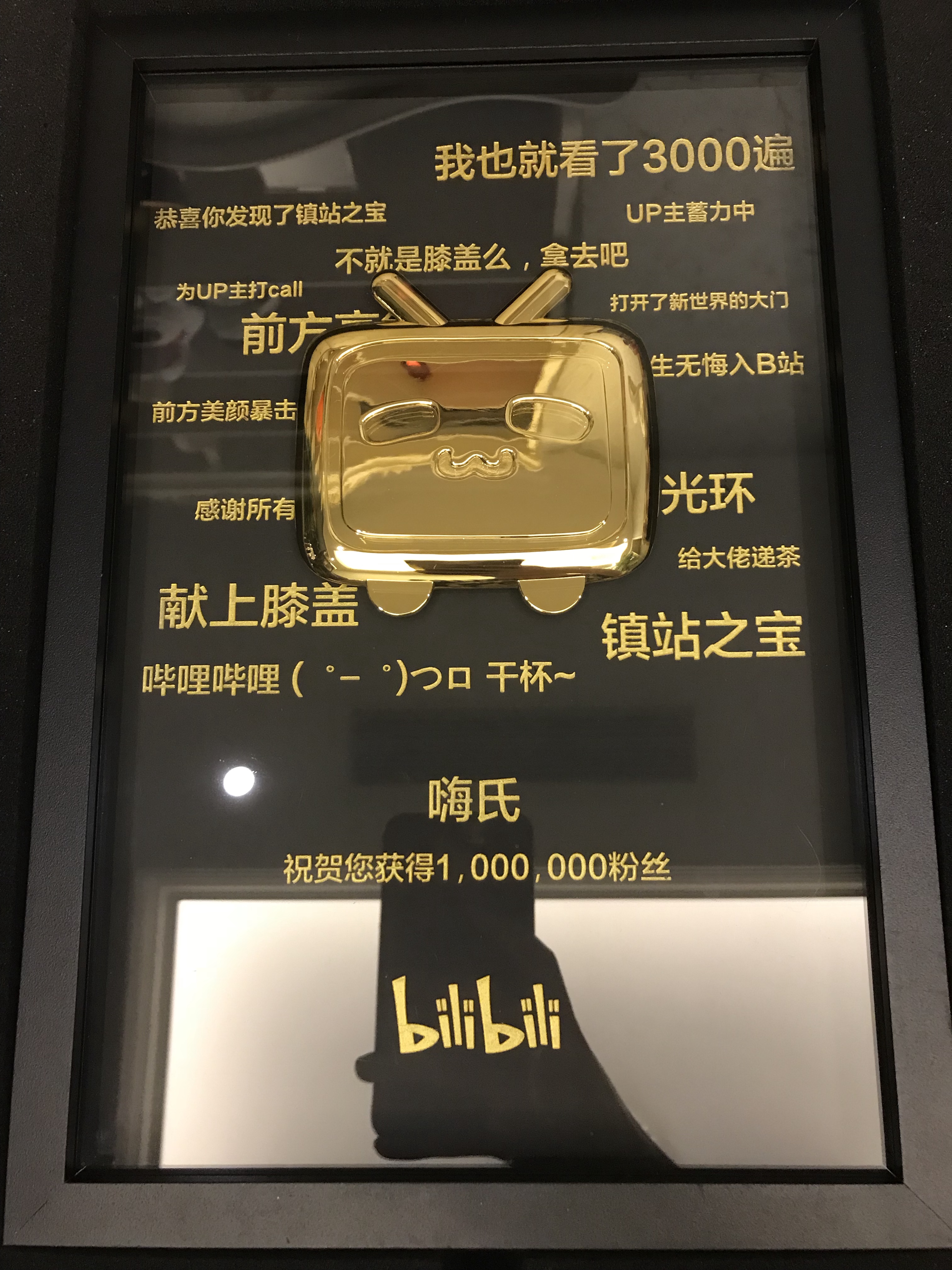 转发动态@嗨氏丶 感谢哔哩哔哩寄的10万关注和100万关注定制奖牌