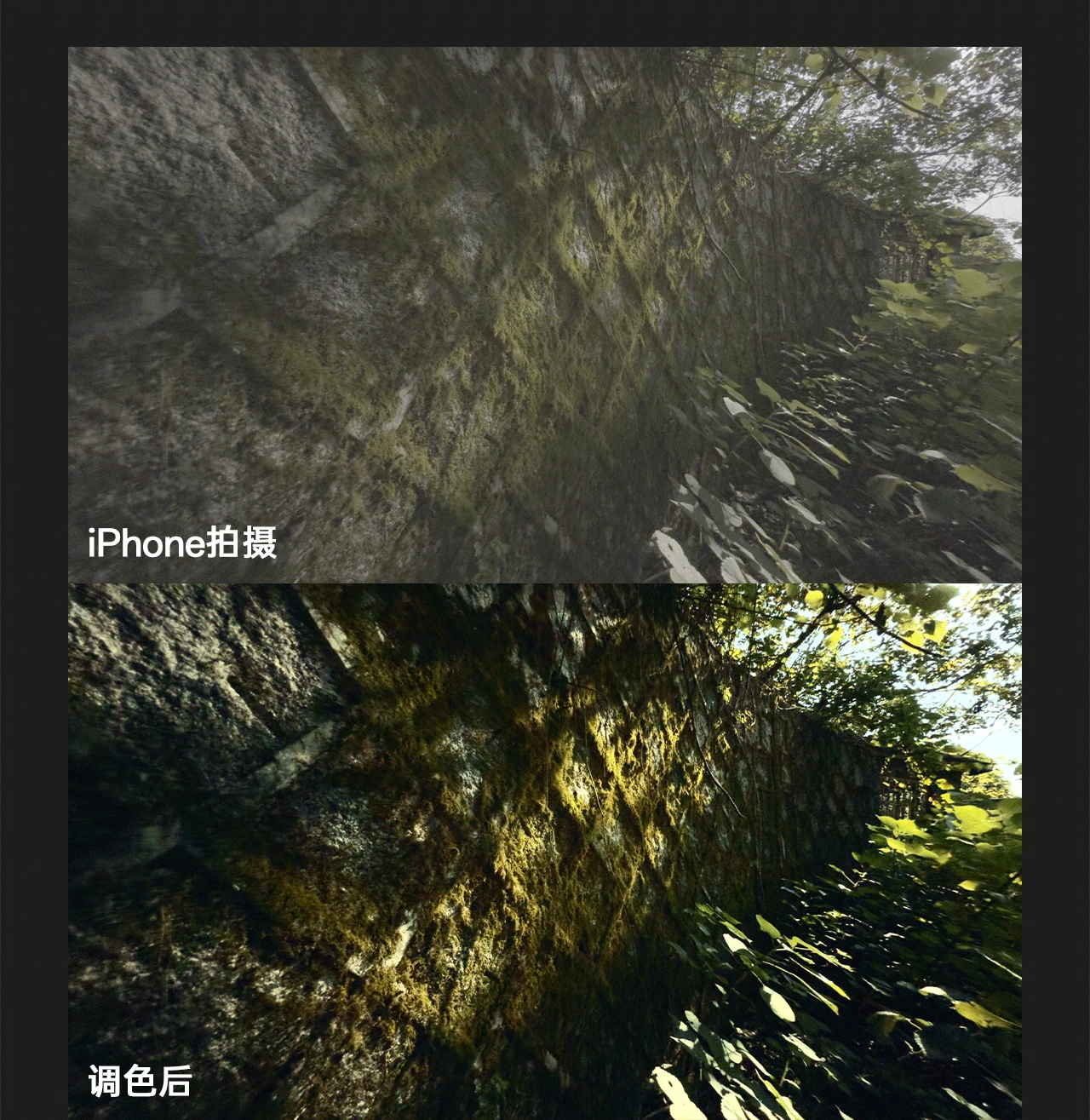 课程介绍