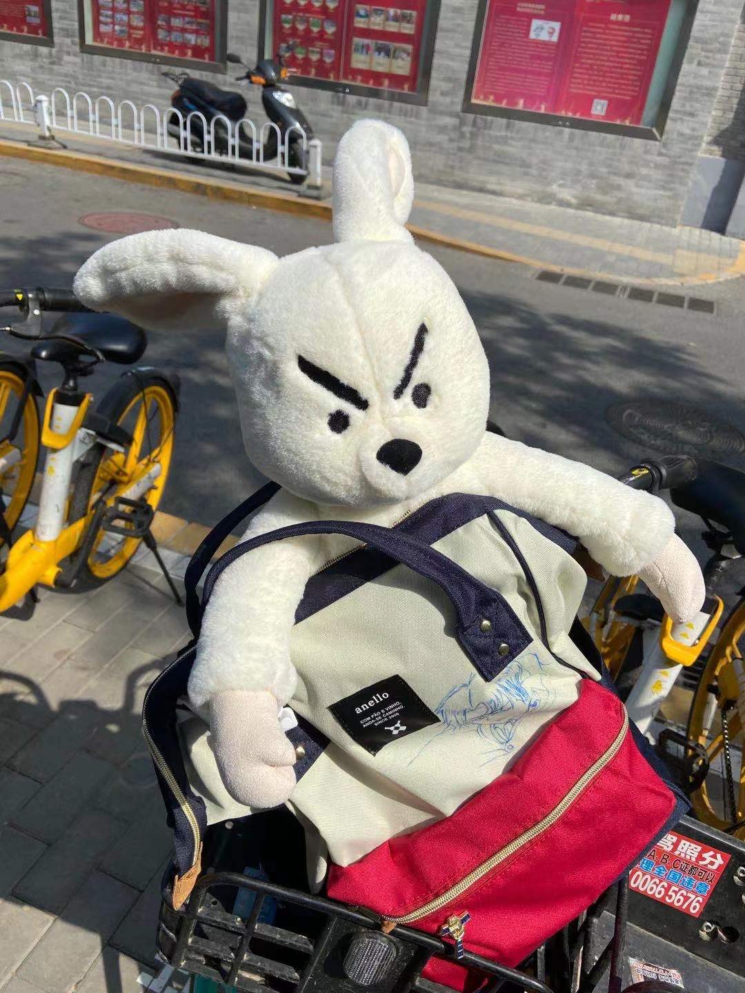 协和整形肖一丁 _ 哔哩哔哩相簿