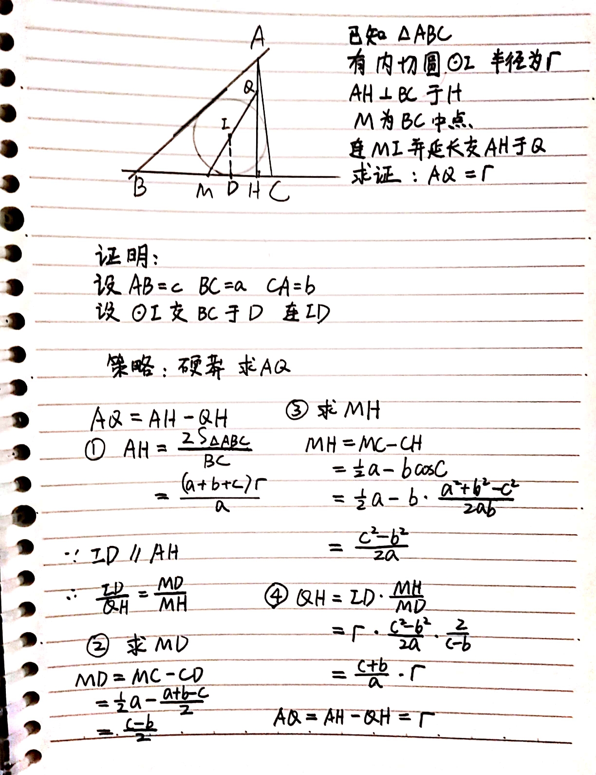 王若钊钊 _ 哔哩哔哩相簿