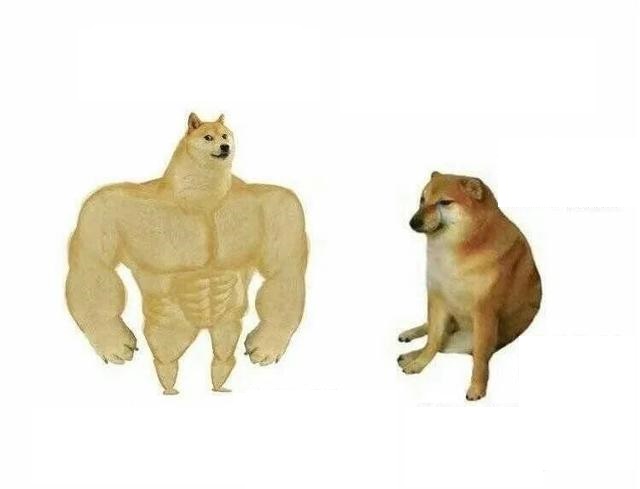 肌肉doge和小废狗(自制图 原图)
