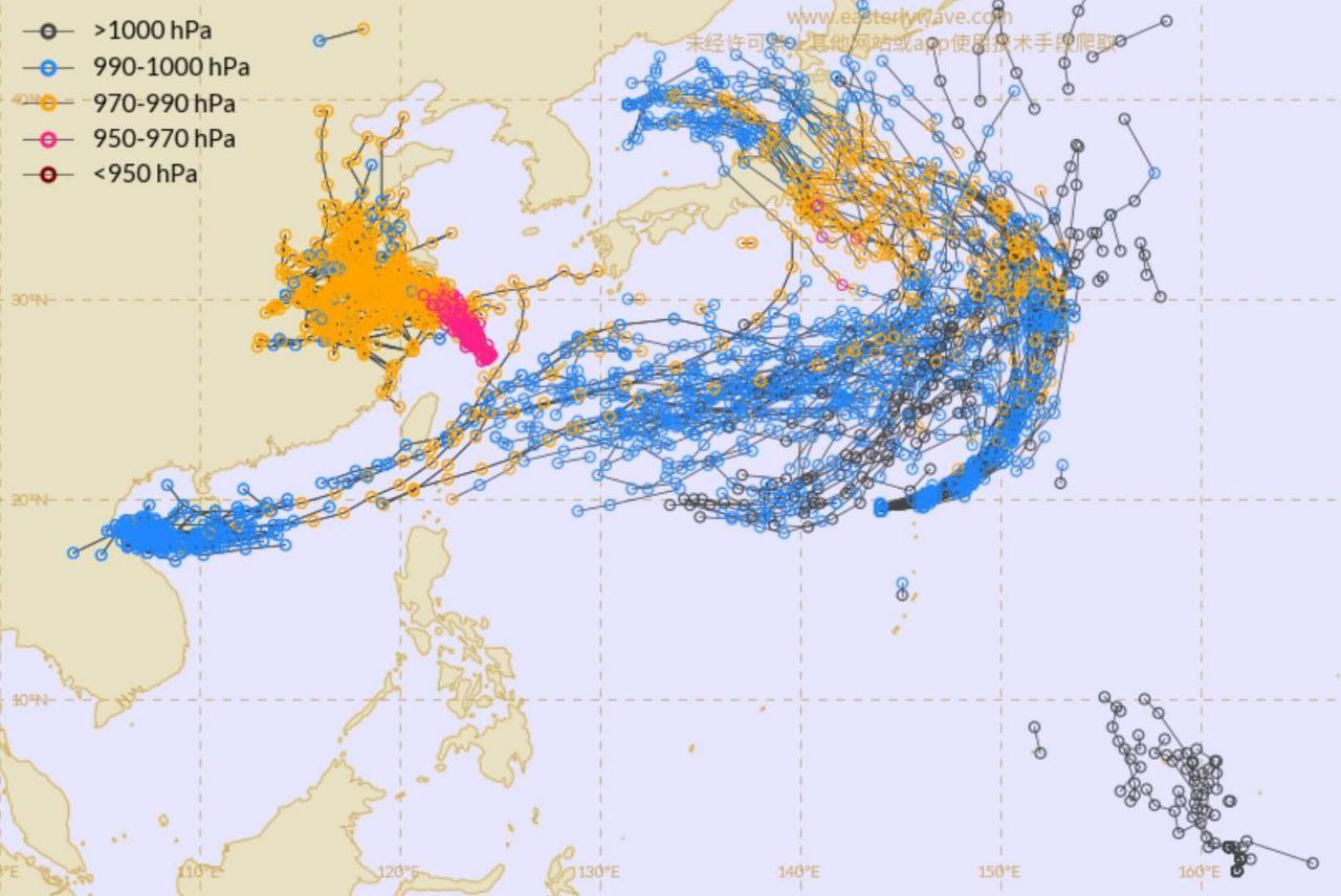 0313台风杜鹃 _ 哔哩哔哩相簿