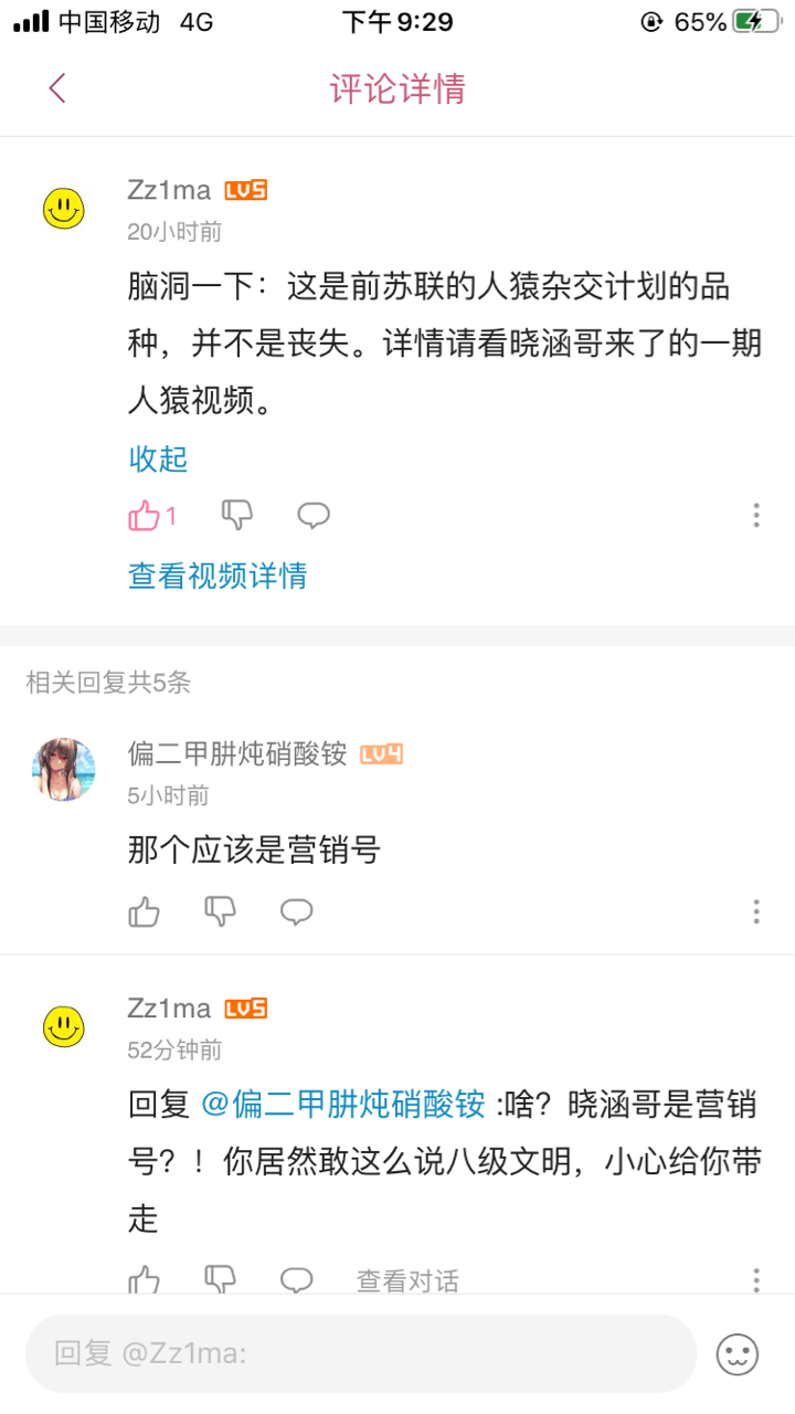 晓涵哥来了