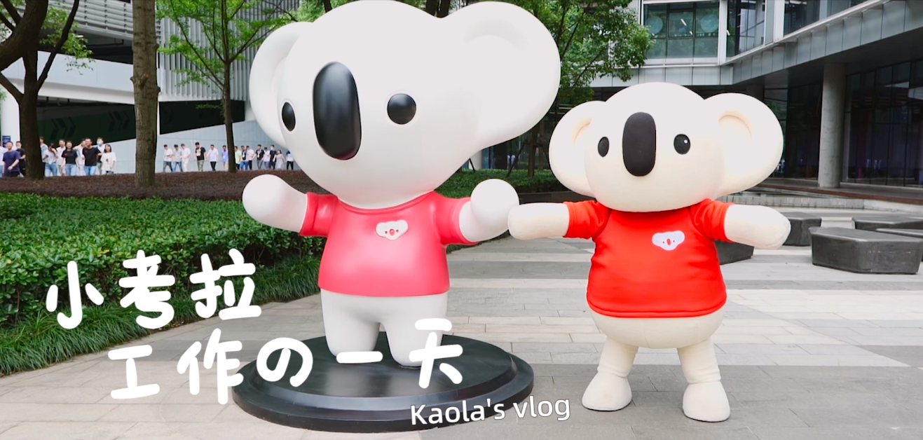 考拉海购gogogo _ 哔哩哔哩相簿