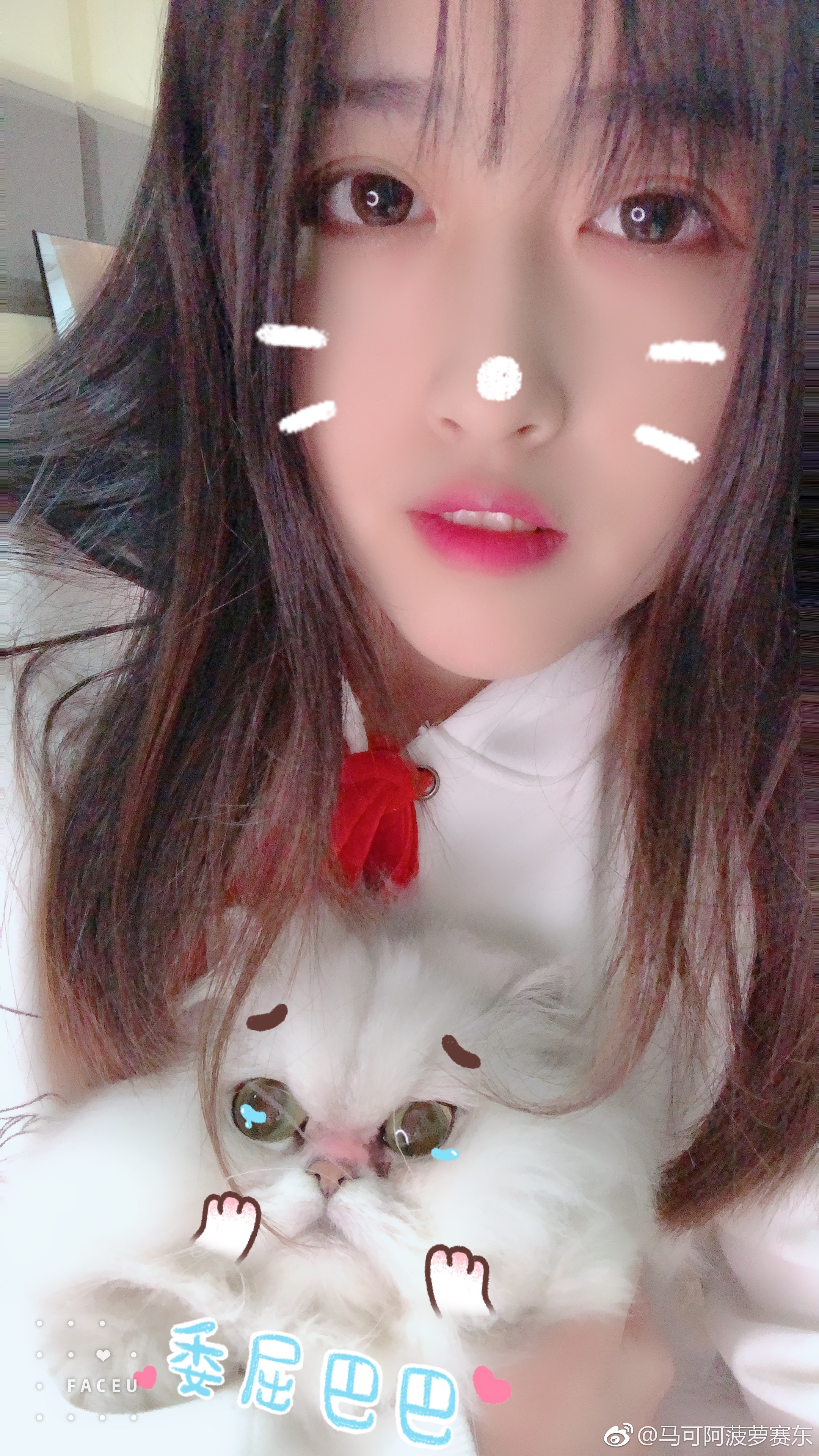 菠萝赛东的超级火箭 _ 哔哩哔哩相簿