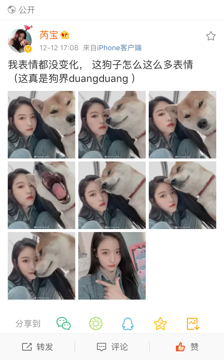 哔哩哔哩相簿,绘你所想,拍你所爱