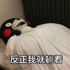 迷路的吱吱 _ 哔哩哔哩相簿
