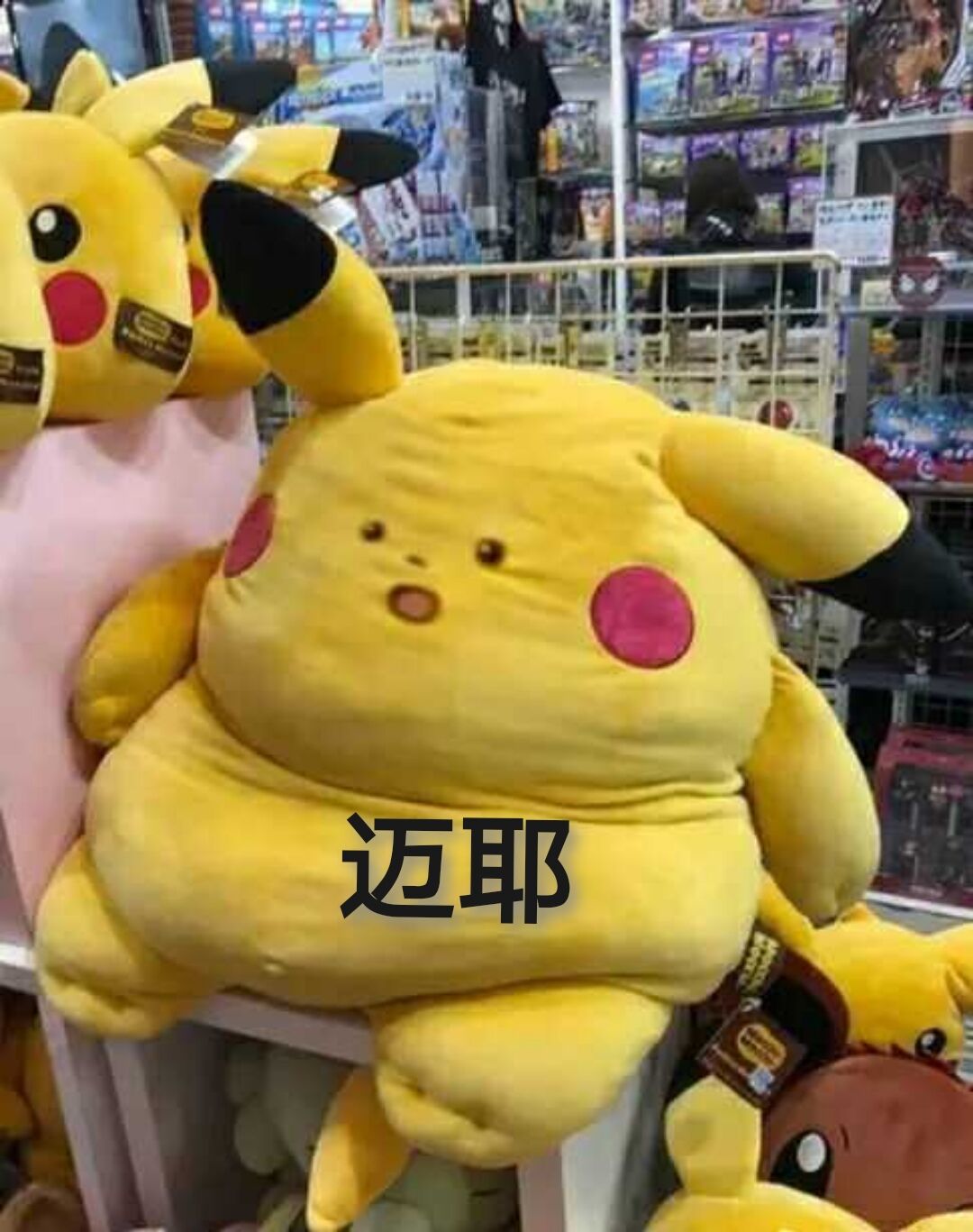 舍尔纳 _ 哔哩哔哩相簿