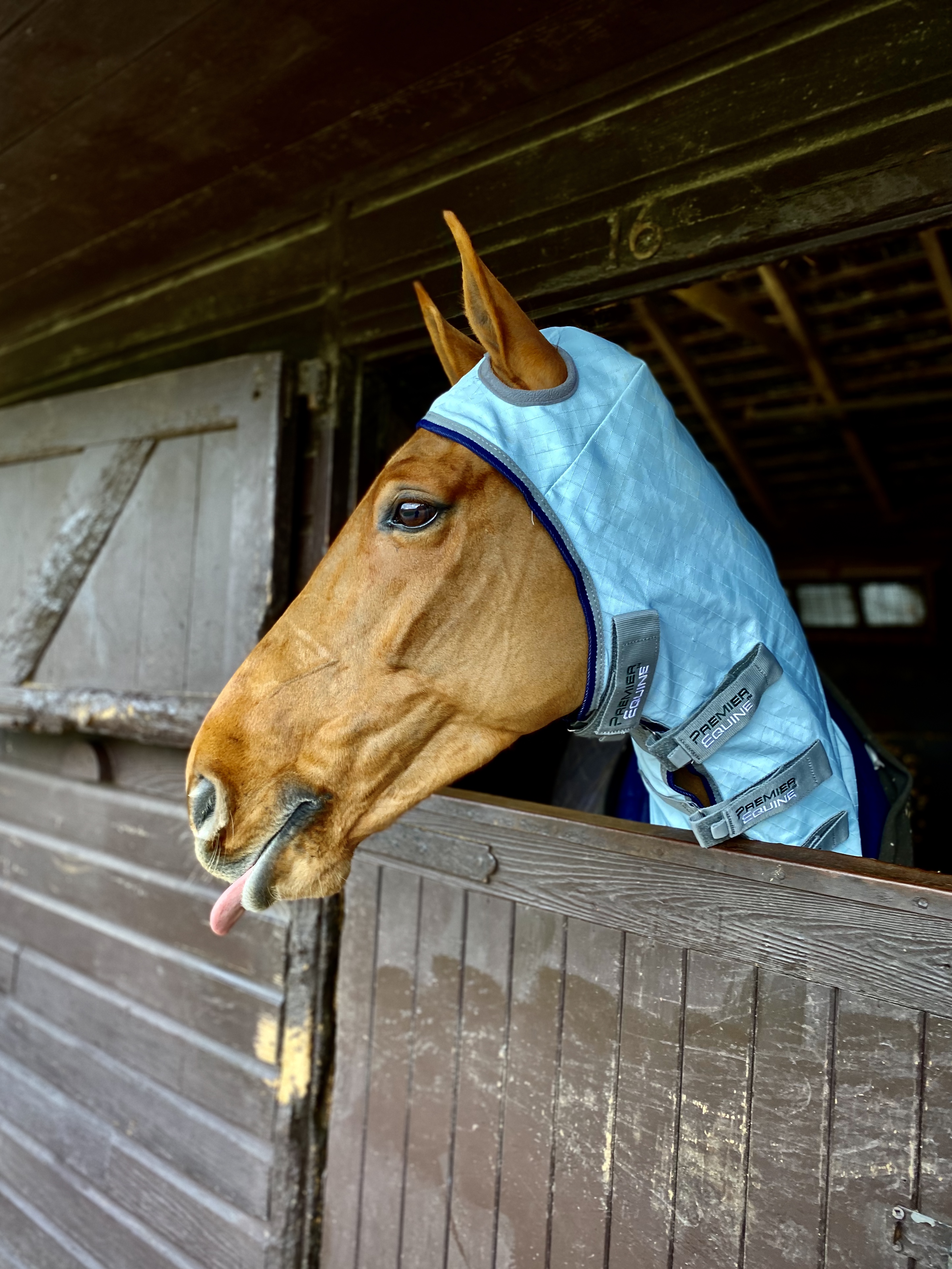 上传时间:2020-03-03 23:41:44