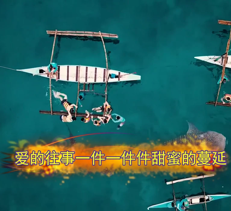课程介绍