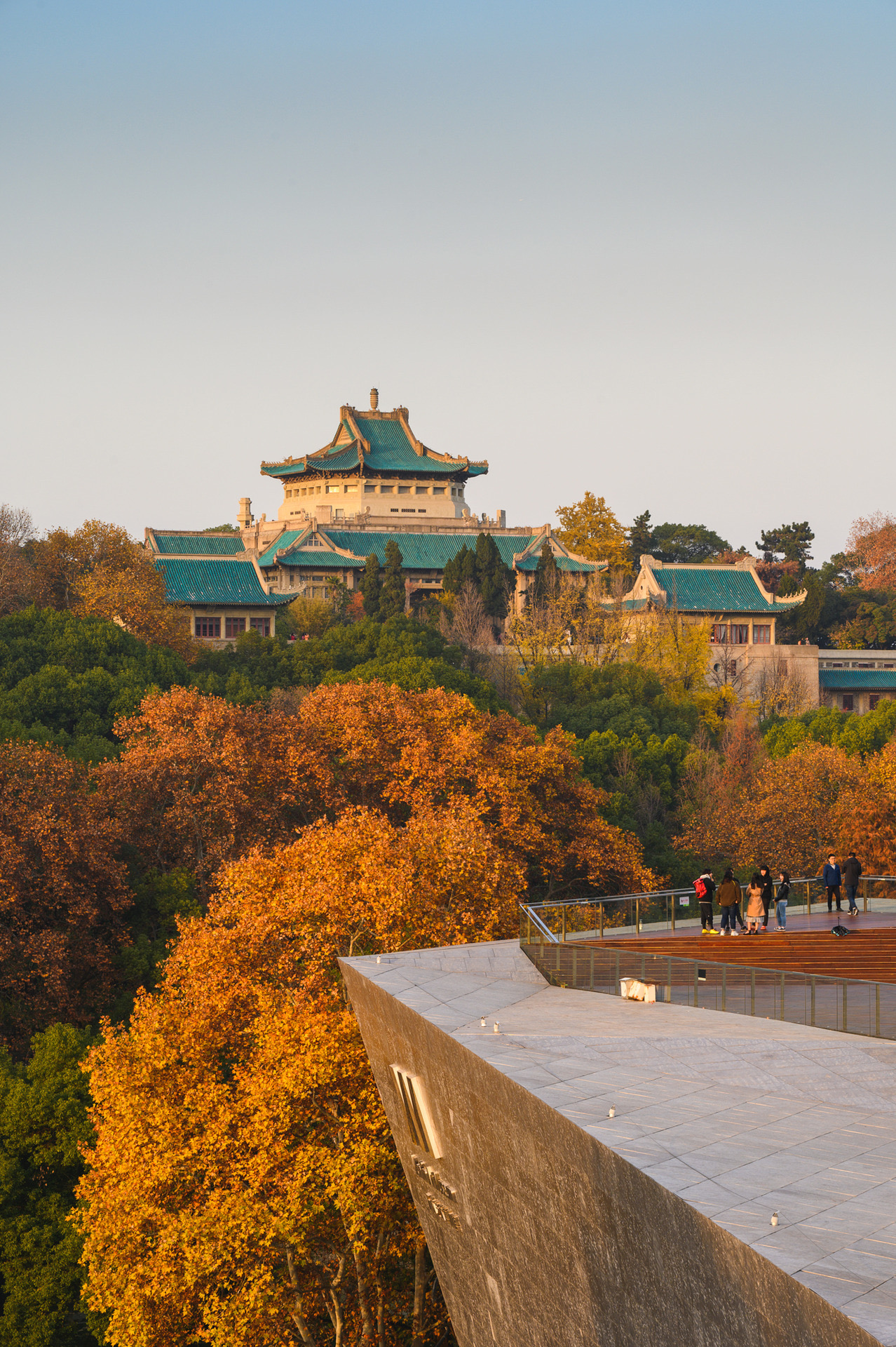 武汉大学 _ 哔哩哔哩相簿