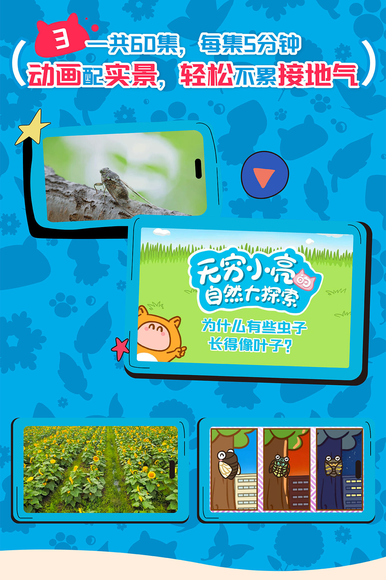 课程介绍