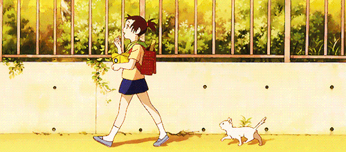 500_220gif 动态图 动图