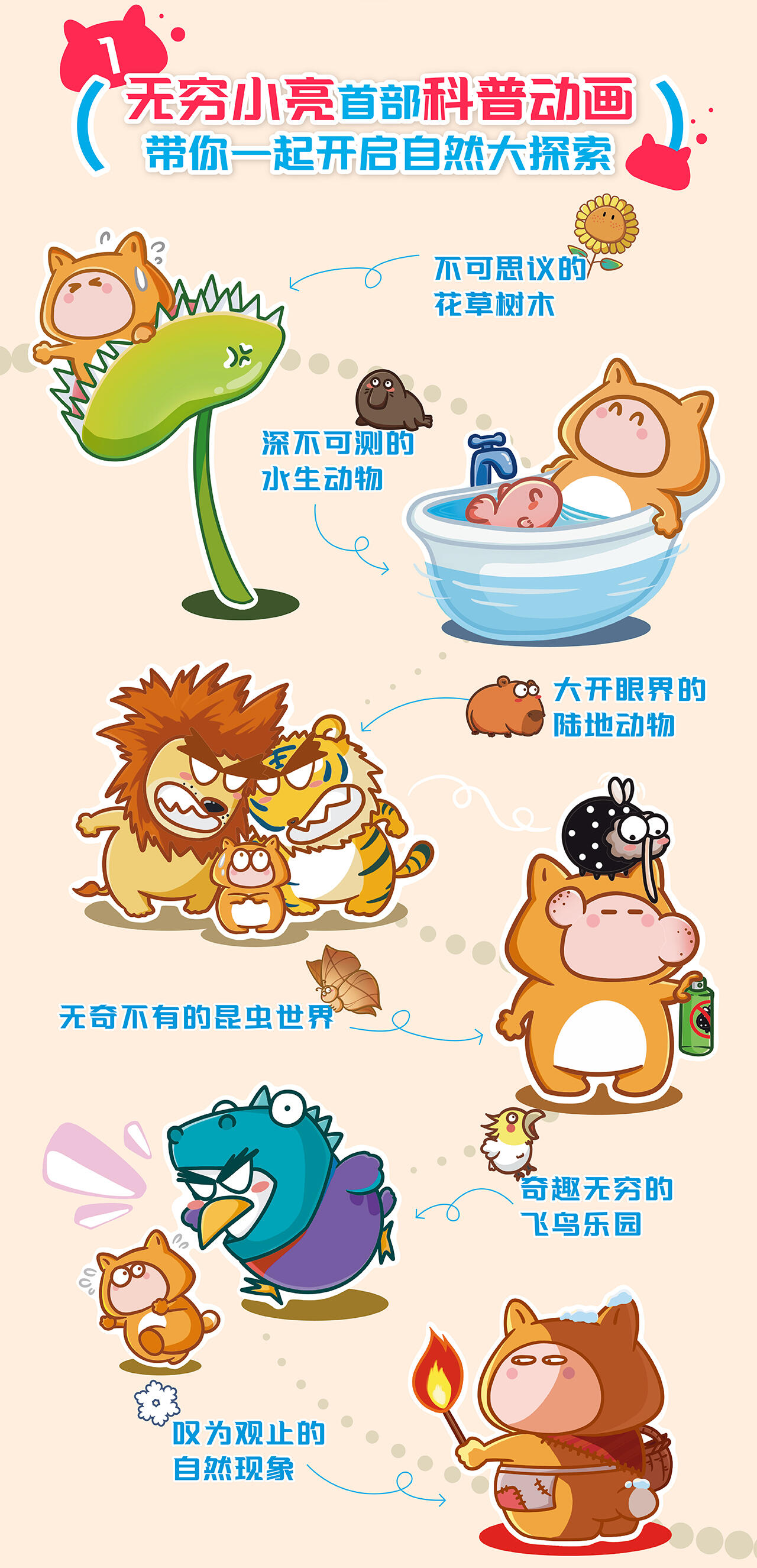 课程介绍