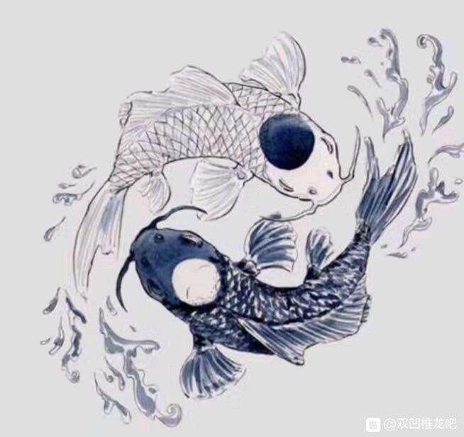 无畏厄兆龙 _ 哔哩哔哩相簿