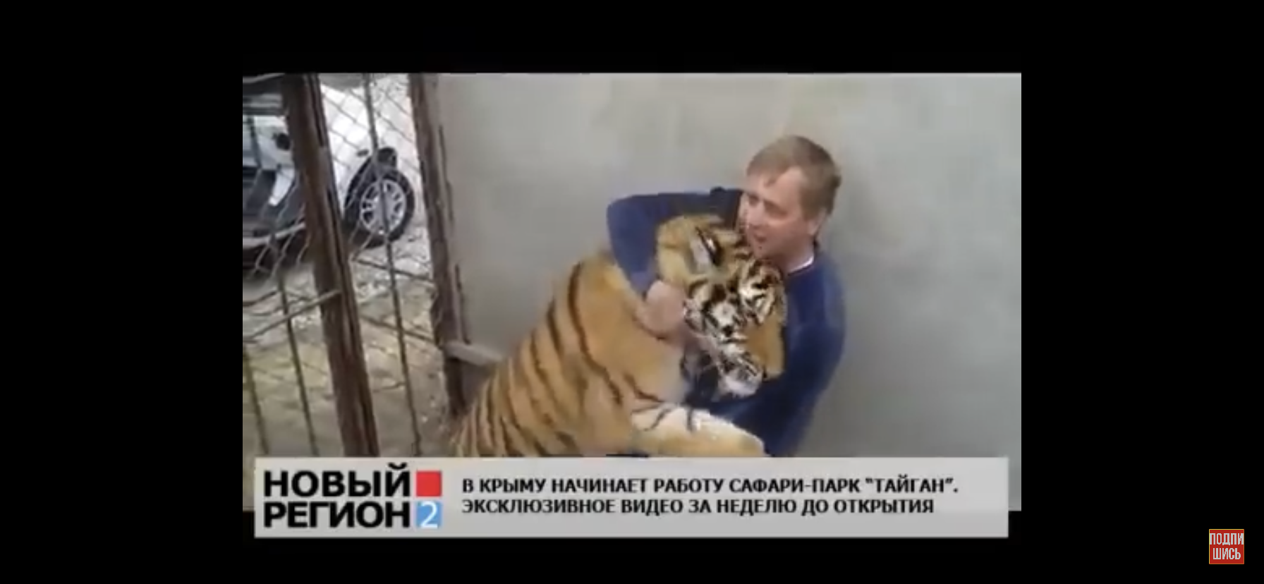 上传时间:2020-07-10 07:38:55