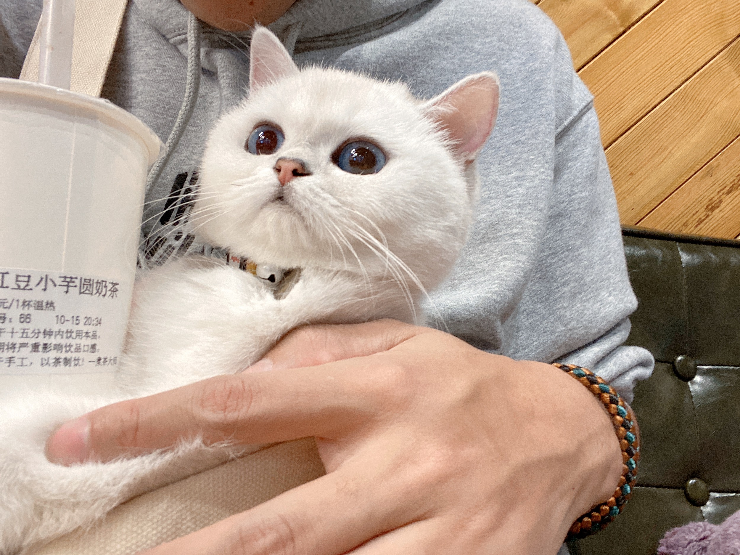 刘涛同学和晚晚 _ 哔哩哔哩相簿