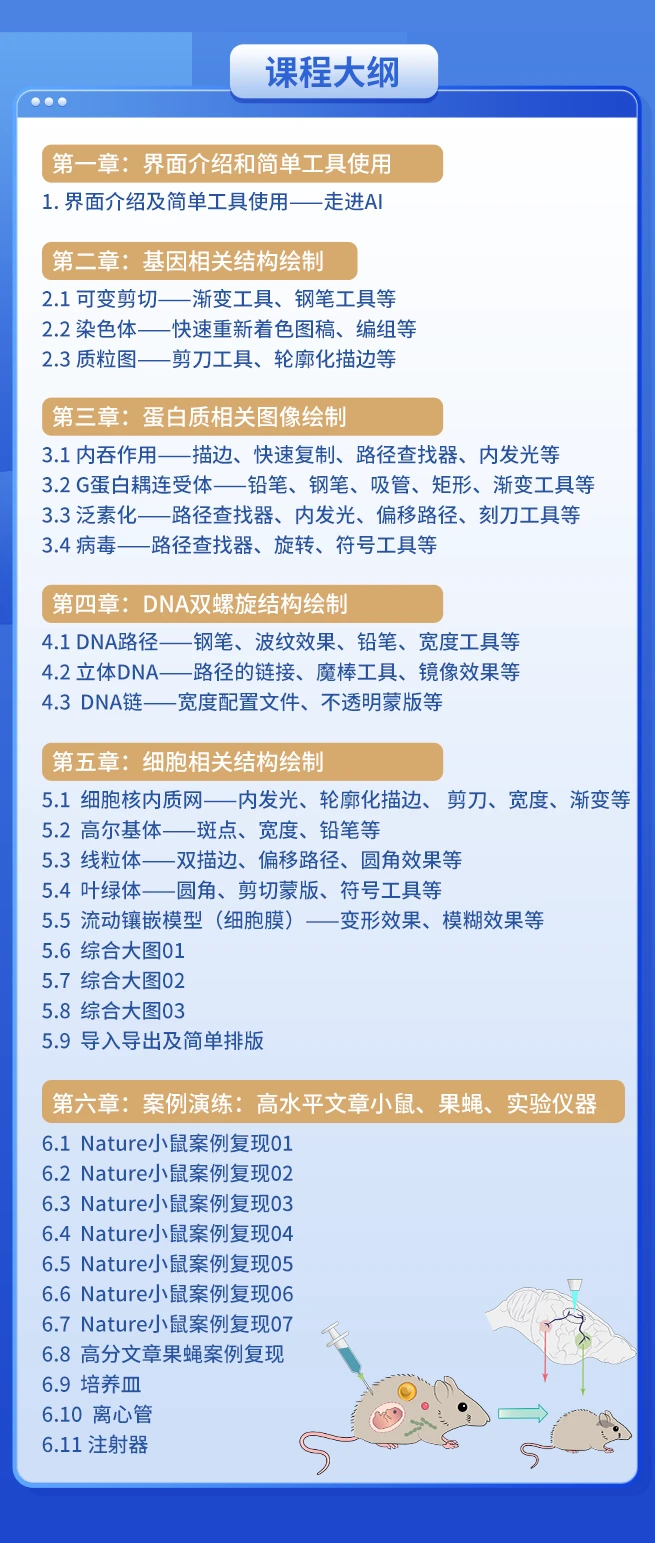 课程介绍