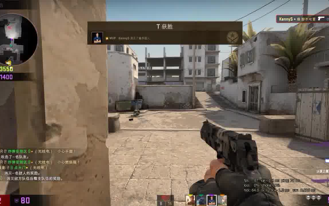 counter-strike global offensive