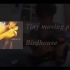 Tiny moving parts - birdhouse guitar cover