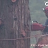 国外伐木工是这么砍树的，各种链锯和装备，你见过吗