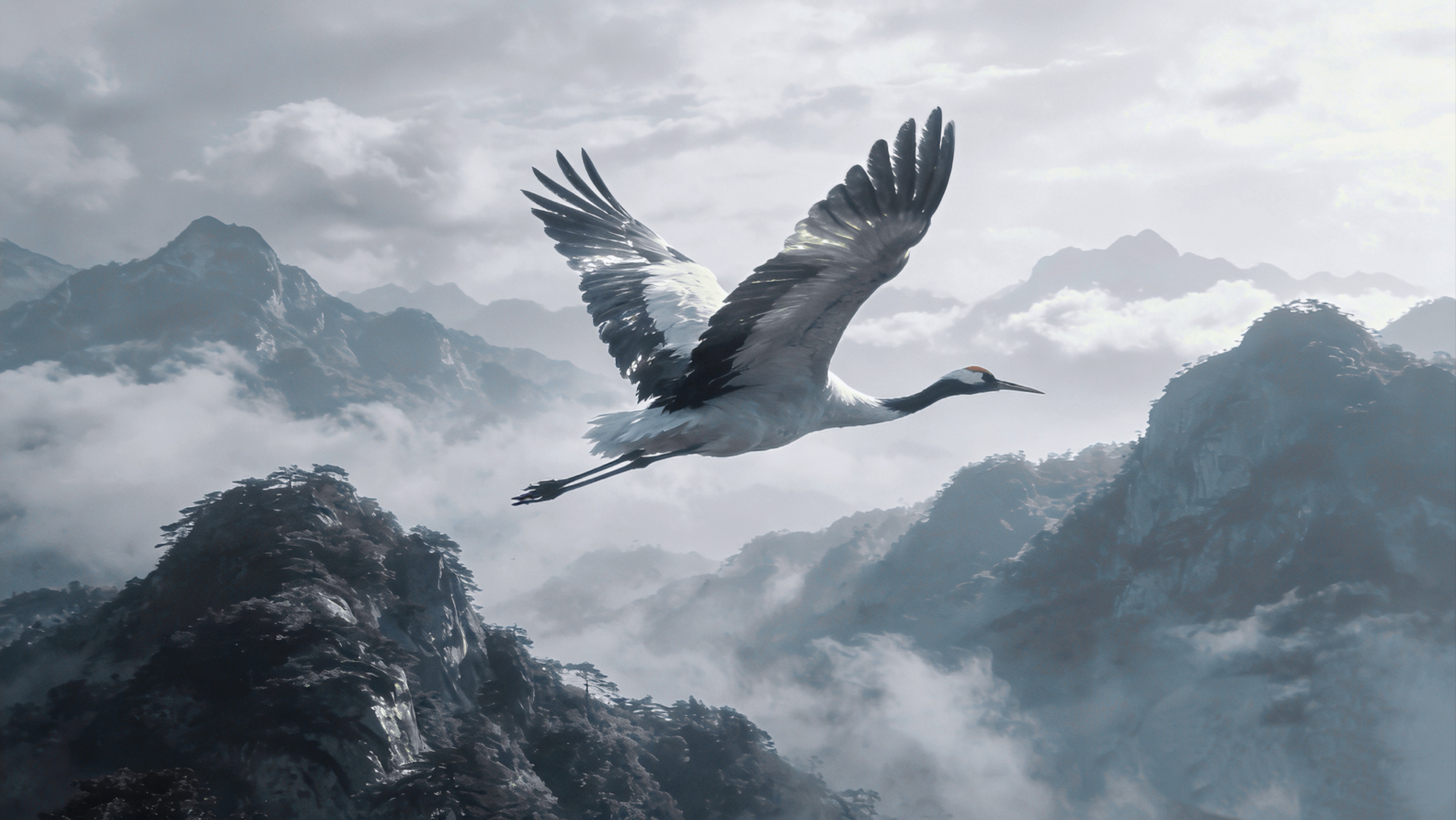 Playlist｜鹤别青山 不见桃花｜中式美学 古风纯音乐 洞箫琴筝｜国风轻音乐歌单 冥想禅修BGM｜循环歌单 学习放松 工作阅读 日推电台