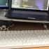 阿米洛键盘mac108键(开箱代码打字声浪手感测评)