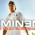 The Real Slim Shady——Eminem   纯伴奏