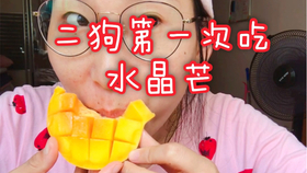 0033c3641a1acb351c8b78d80d899fd1942bcb31.jpg@280w_158h_1c_100q.jpg