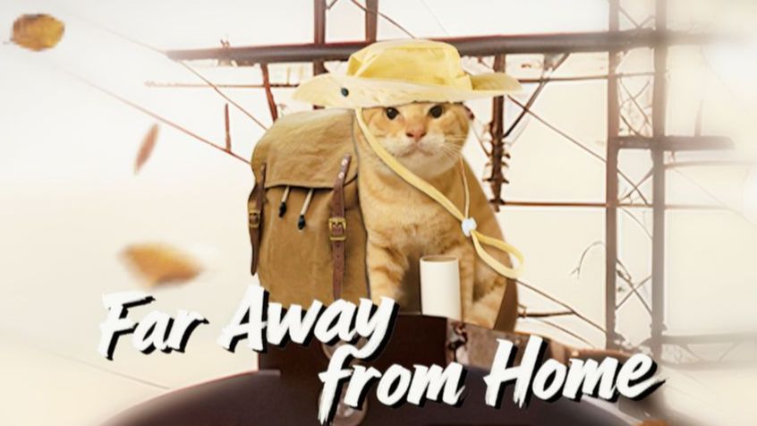 🐱Far Away from Haji🐱