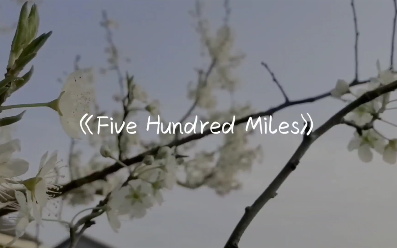 500milesfivehundredmiles吉他弹唱