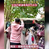 盘点那些婚闹名场面：抵制恶俗婚闹