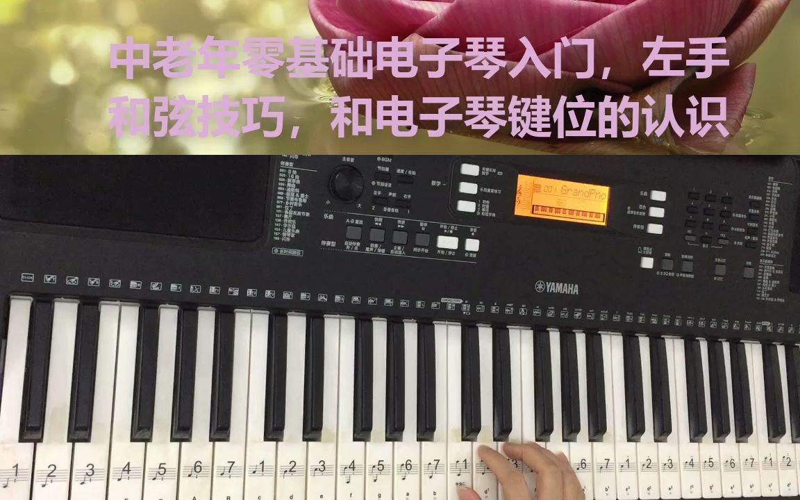 中老年零基础电子琴入门,左手和弦技巧,和电子琴键位的认识