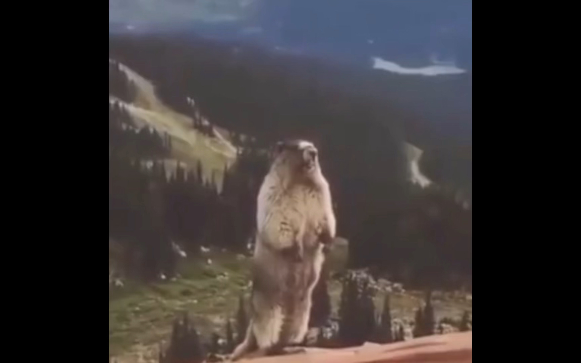 I met an elementary school student, military training military training