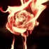 “玫瑰会燃烧殆尽，但爱意不止”