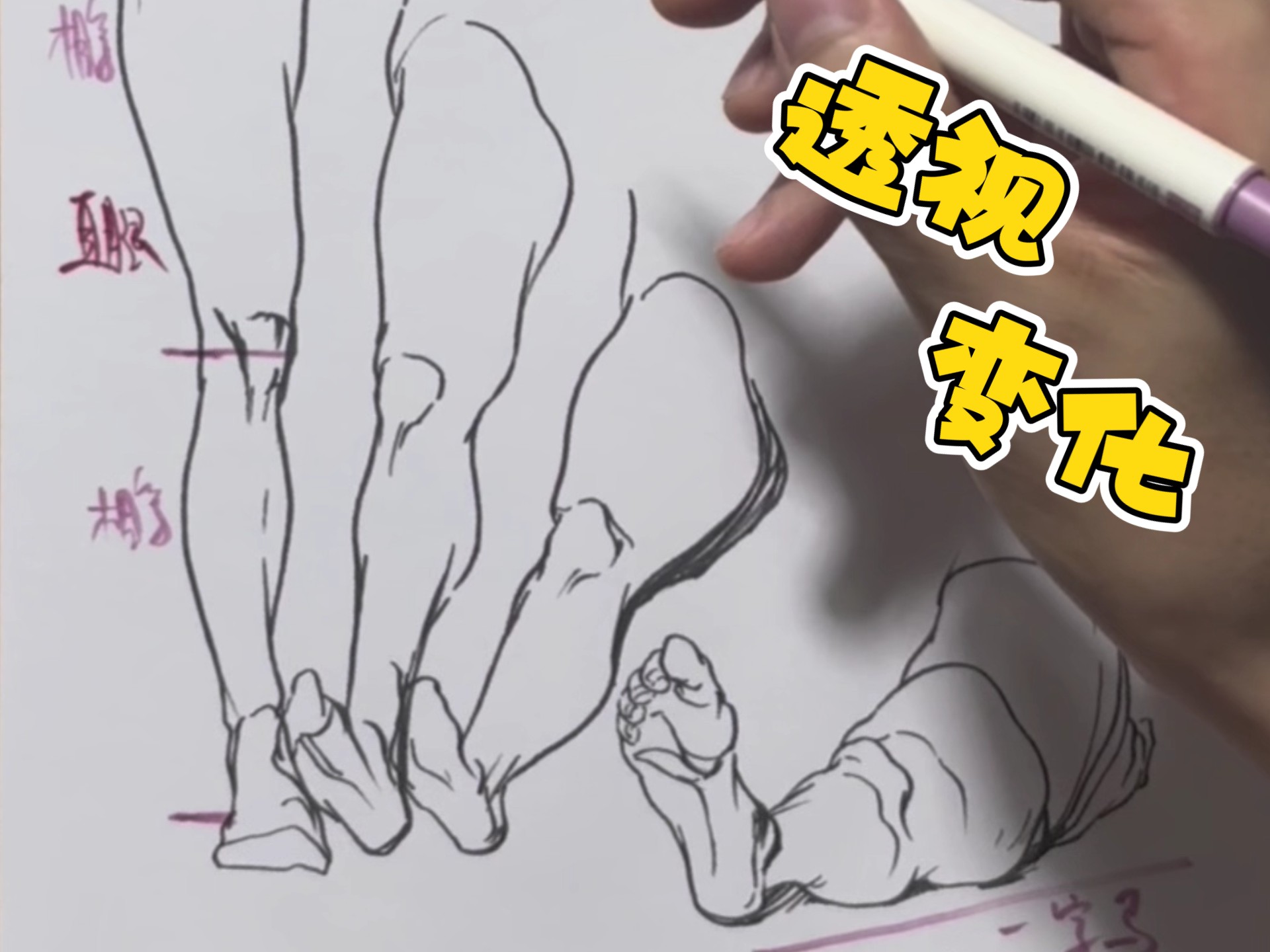 讲腿部的动态透视变化！收藏必备