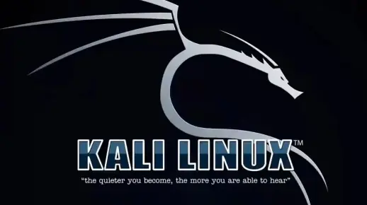 Kali Linux是否支持使用Tor网络  第1张