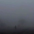 雾的伴舞-Tyan