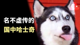 00ec93c2b853157a78a3c5c30a6e53c9a890df08.jpg@280w_158h_1c_100q.jpg
