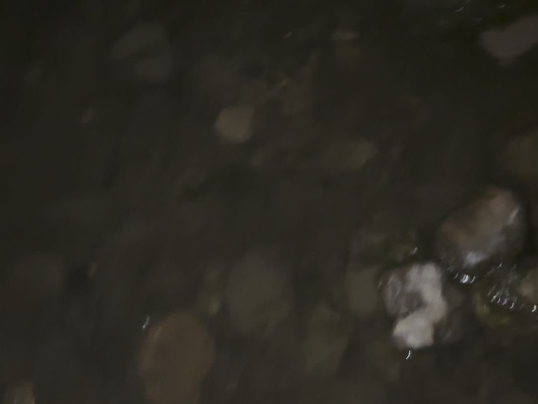 河边aj4白奥利和午夜蓝（有后续）