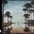 【中英双字/cc字幕】Kygo, OneRepublic - Lose Somebody (Audio)