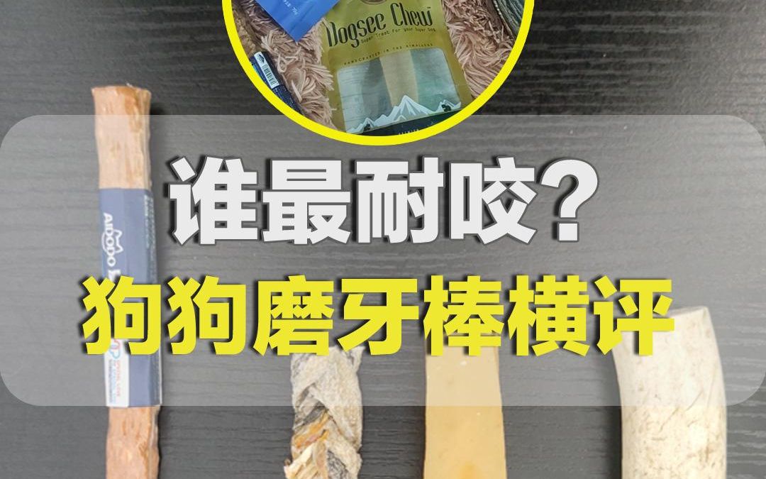 谁最耐咬？四大狗狗磨牙棒横向评测