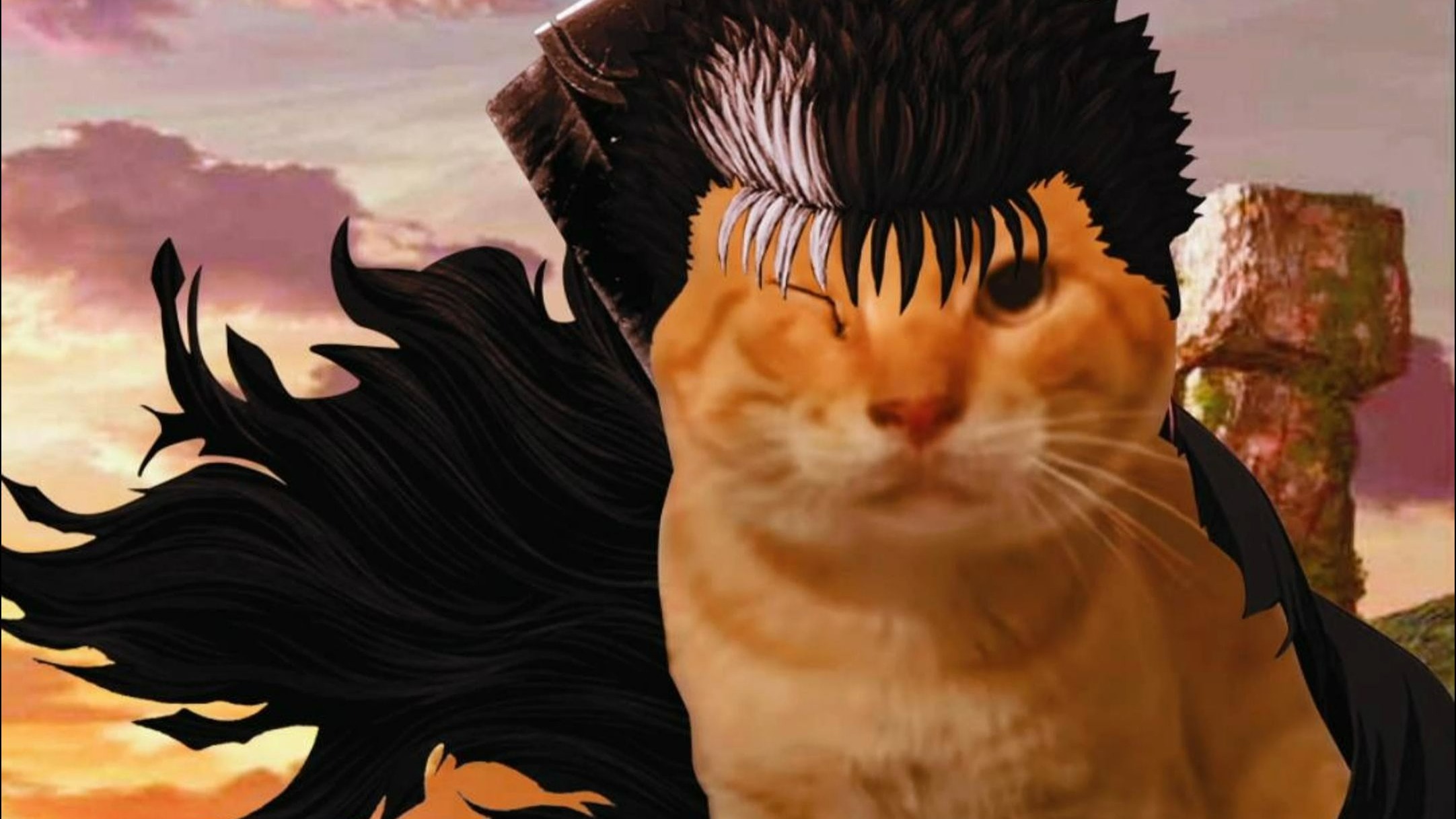 耄耋不需要收养，哈气到腐烂就好