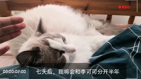 0190a509ea4b4b9f5cf593f76fe5032516735c8f.jpg@280w_158h_1c_100q.jpg
