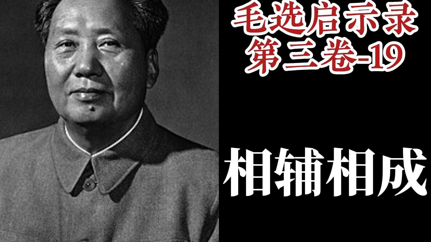 集体所有制下的农村经济工作【毛选启示录】