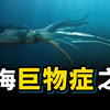 深海巨物症：为什么深海中会出现巨型生物