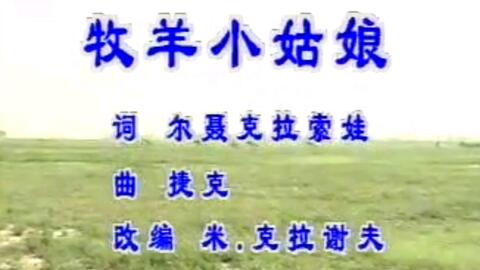 坐上我的小飞船简谱_坐上我的副驾表情包