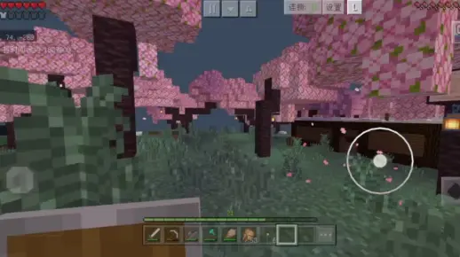 我的世界，樱花树林