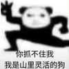 OS:我的精神状态